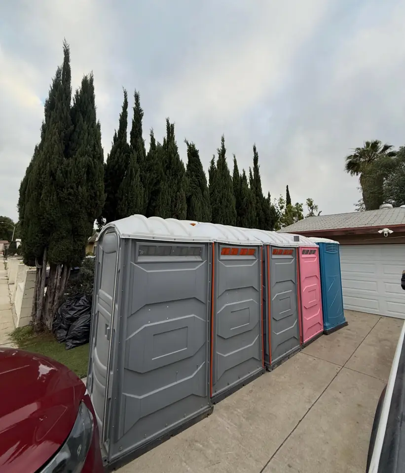 Row of portable toilets lined up along a residential driveway